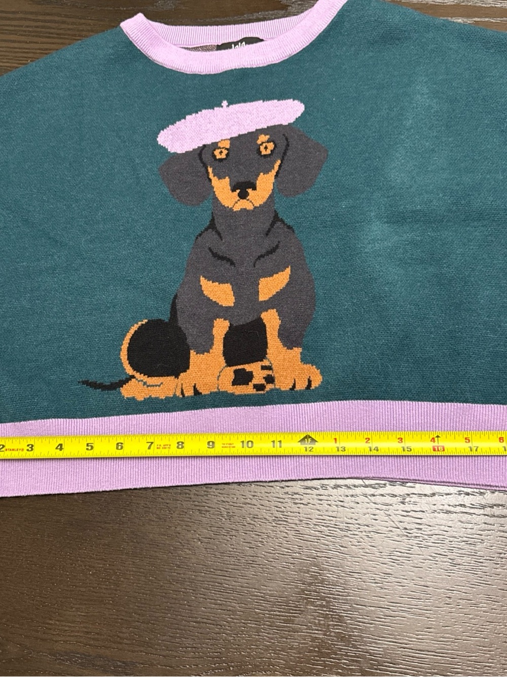 Dressed in LALA Teal Crewneck Sweater with Pink Trim & Dachshund Graphic - Picture 7 of 12